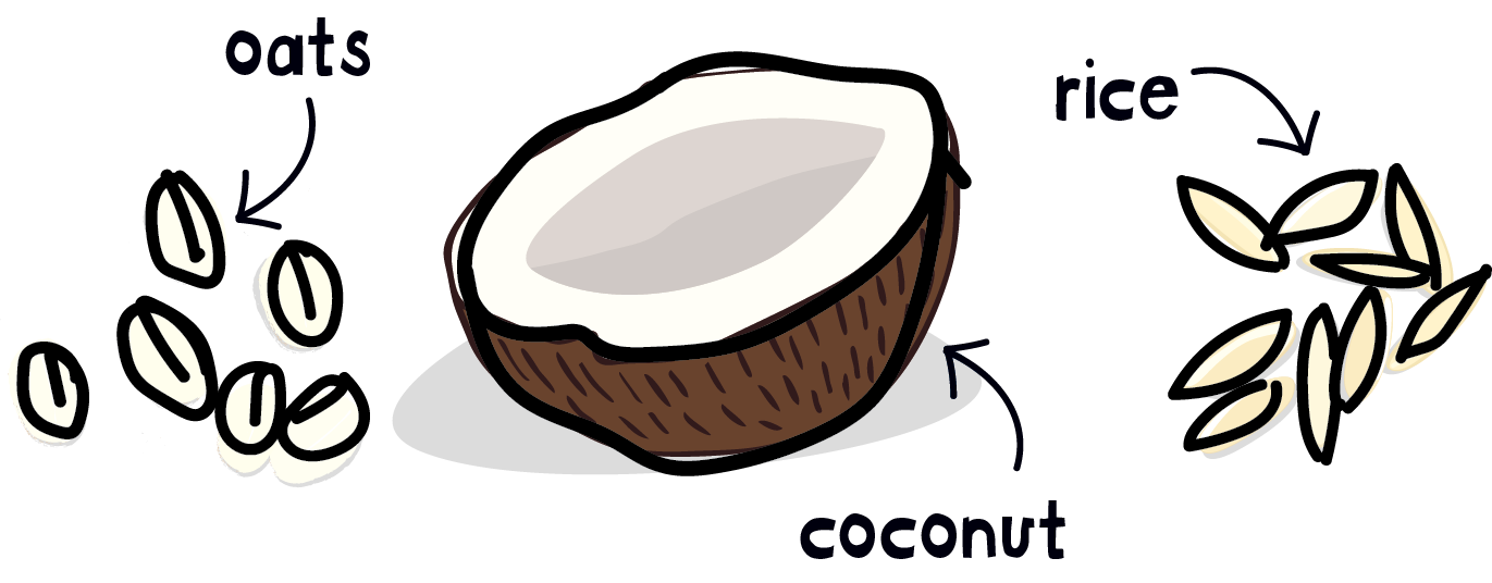 Coconut