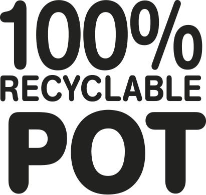 100% recyclable pot